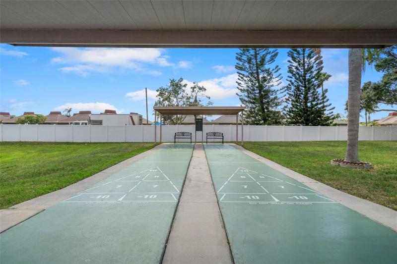 Community Shuffleboard