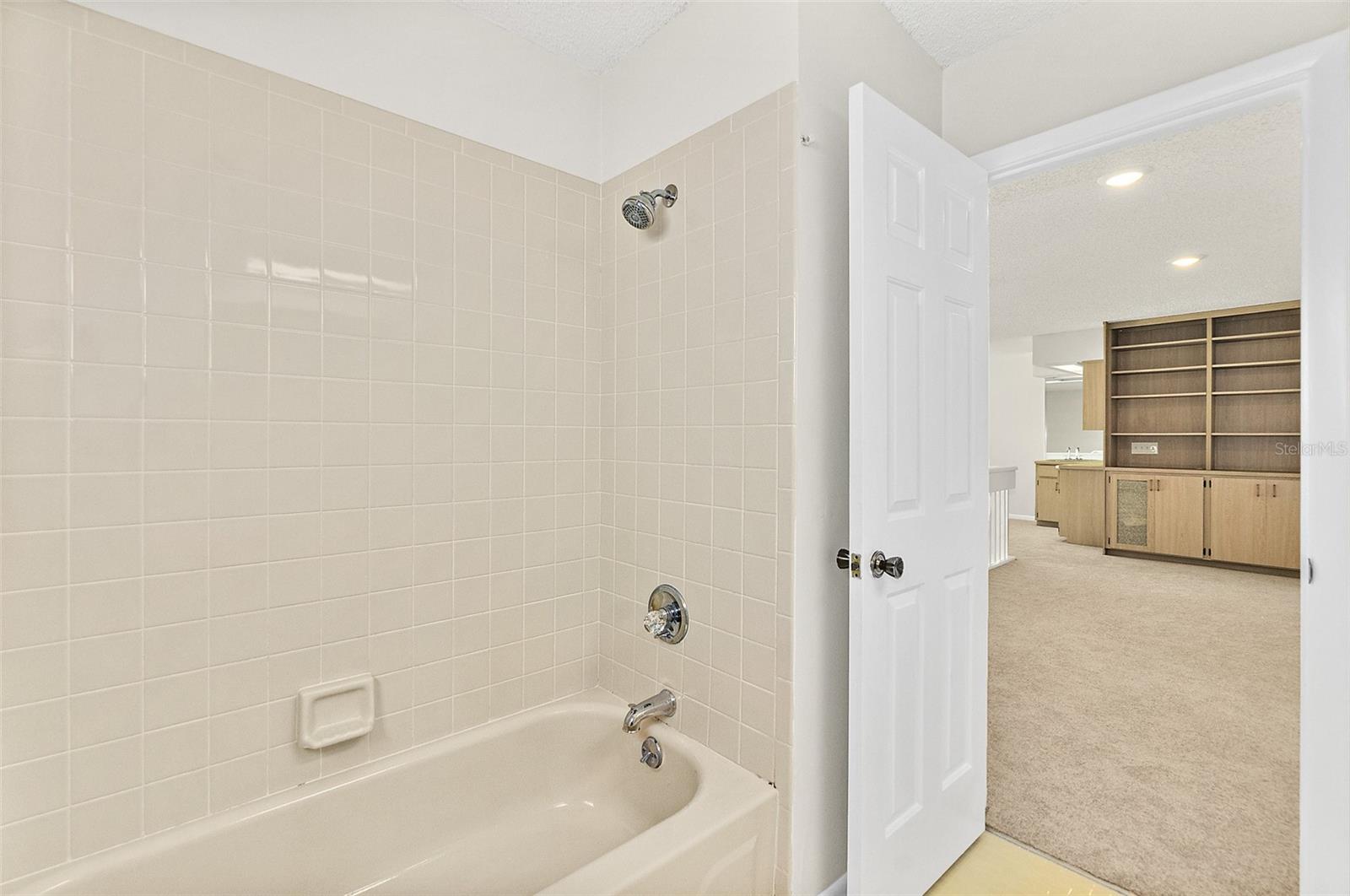 Guest shower and Tub