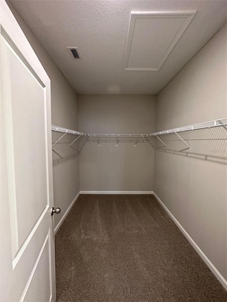 Master Walk in Closet