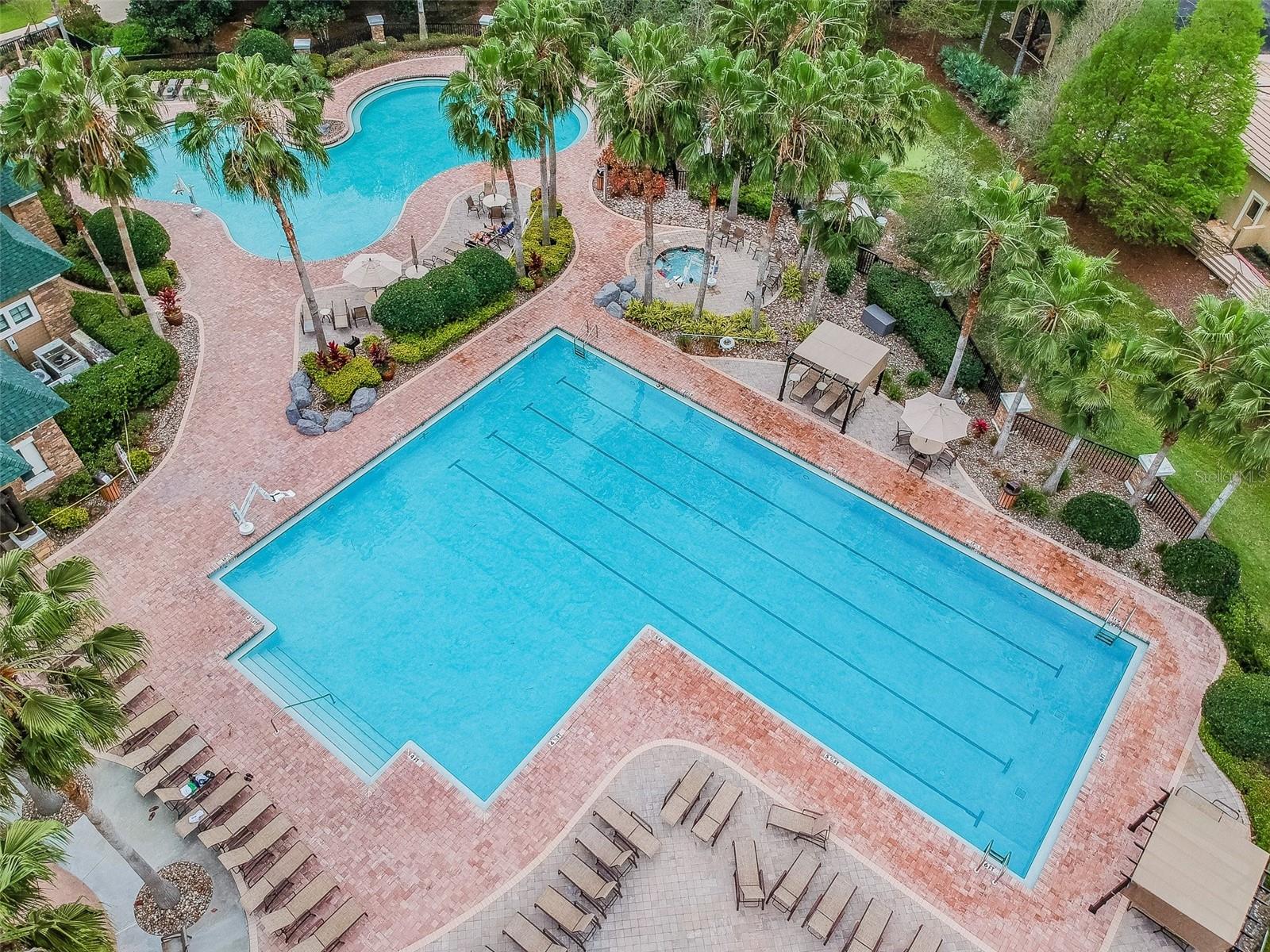 Lap Pool