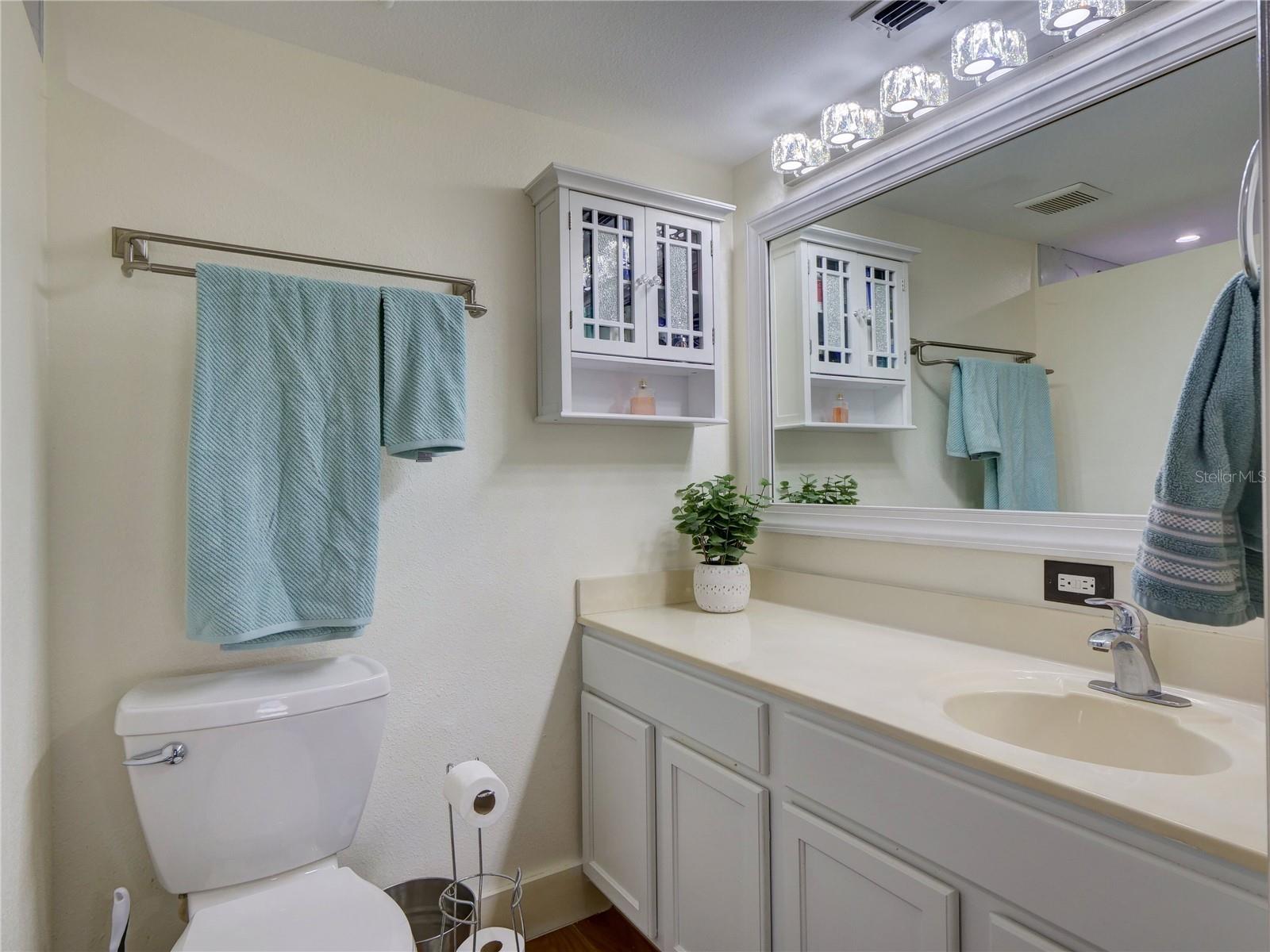 Secondary Master Bathroom