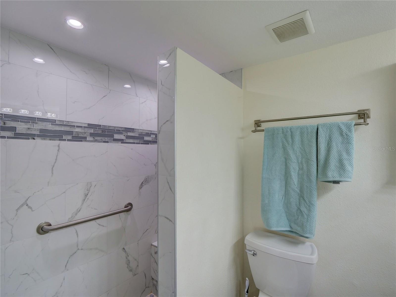 Secondary Master Bath Shower