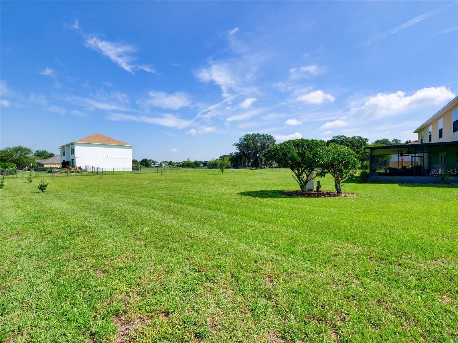 Side yard view