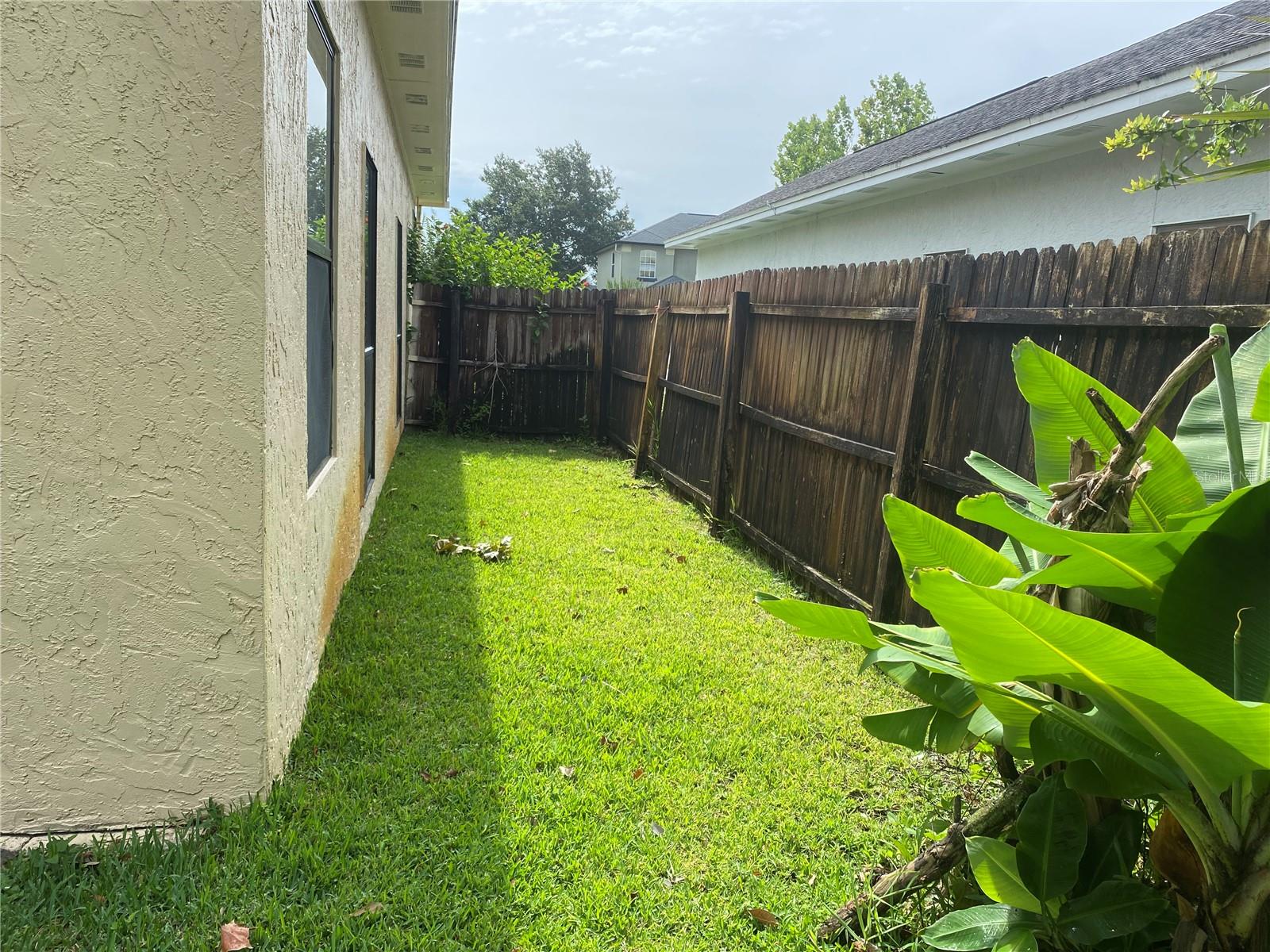 Side yard.