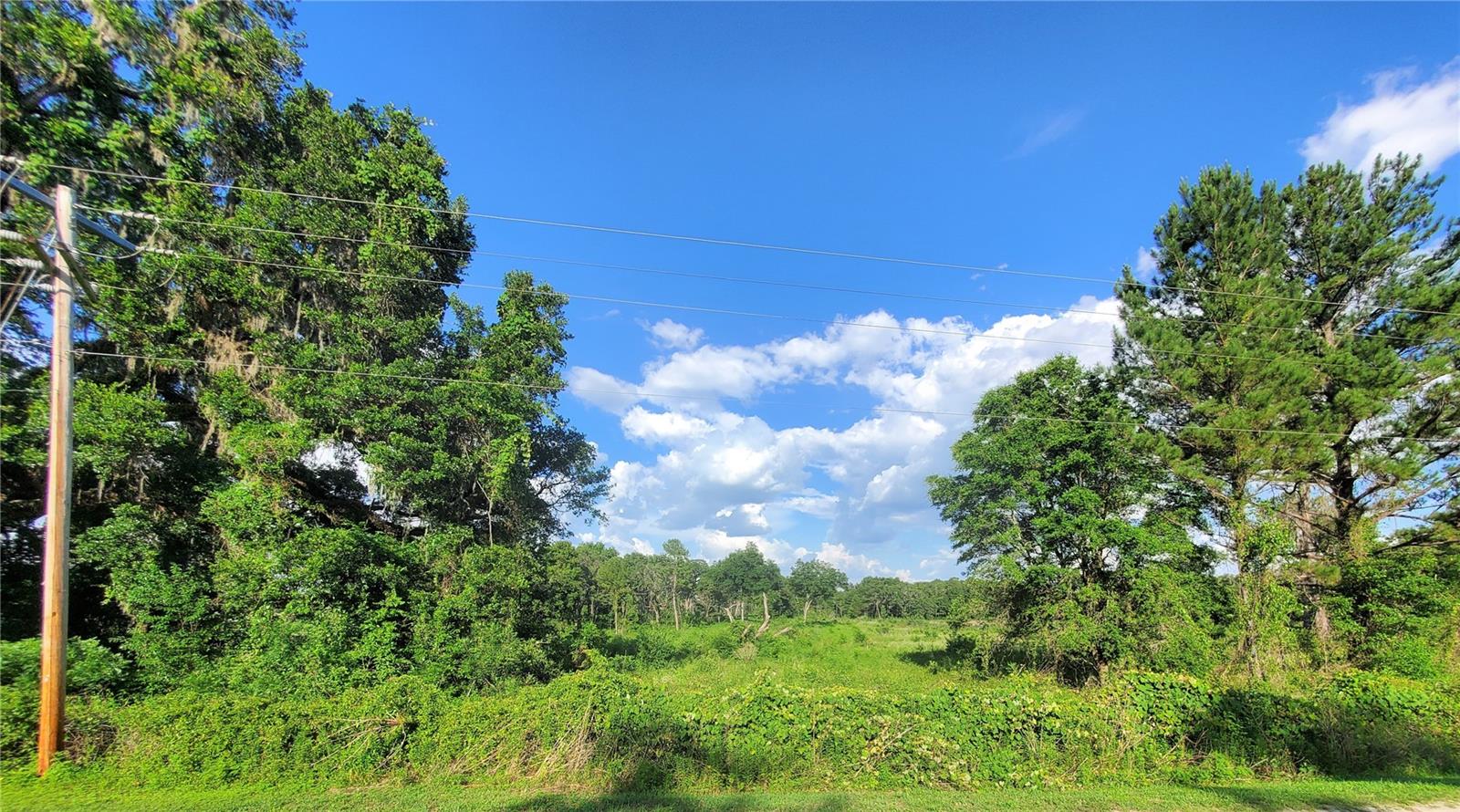 Reddick, Florida 32686, 0 , 0 ,0,Land,For Sale,115TH,0,OM659623