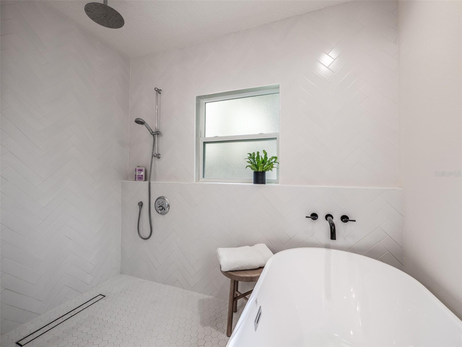 Master Bath shower and tub