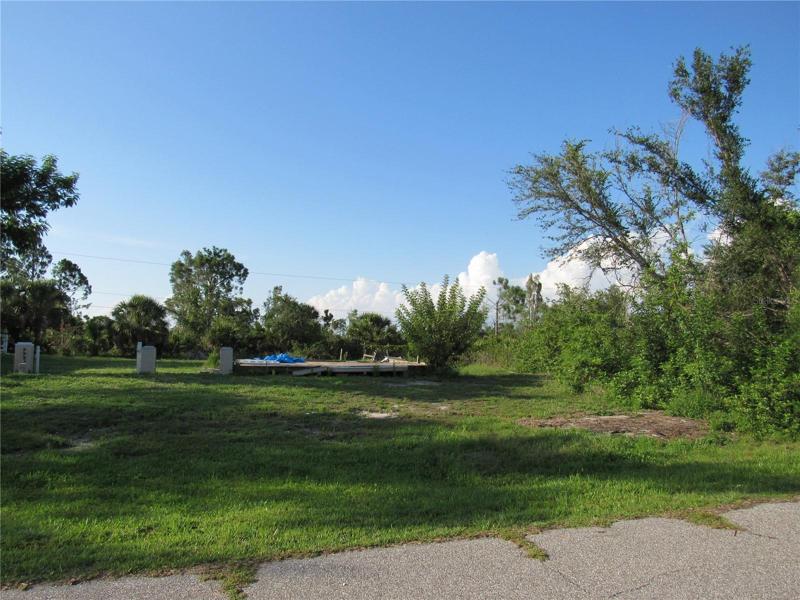 Adjacent lot 80x125 for sale $ 20,000.
