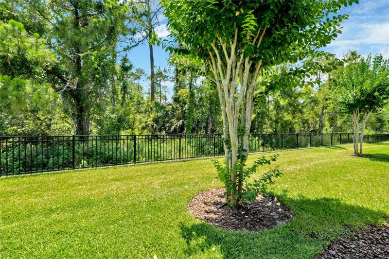 View of backyard behind home