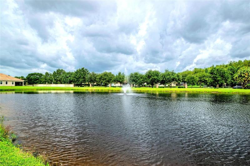 Pond view from the front yard
