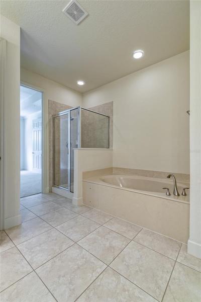 Master Bathroom - soaking tub and walk-in shower