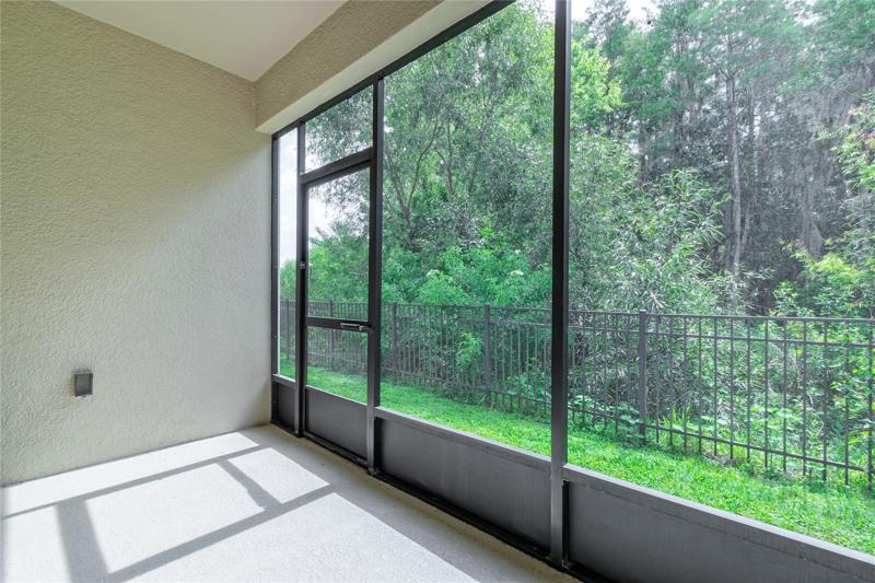 Screened lanai with conservation view