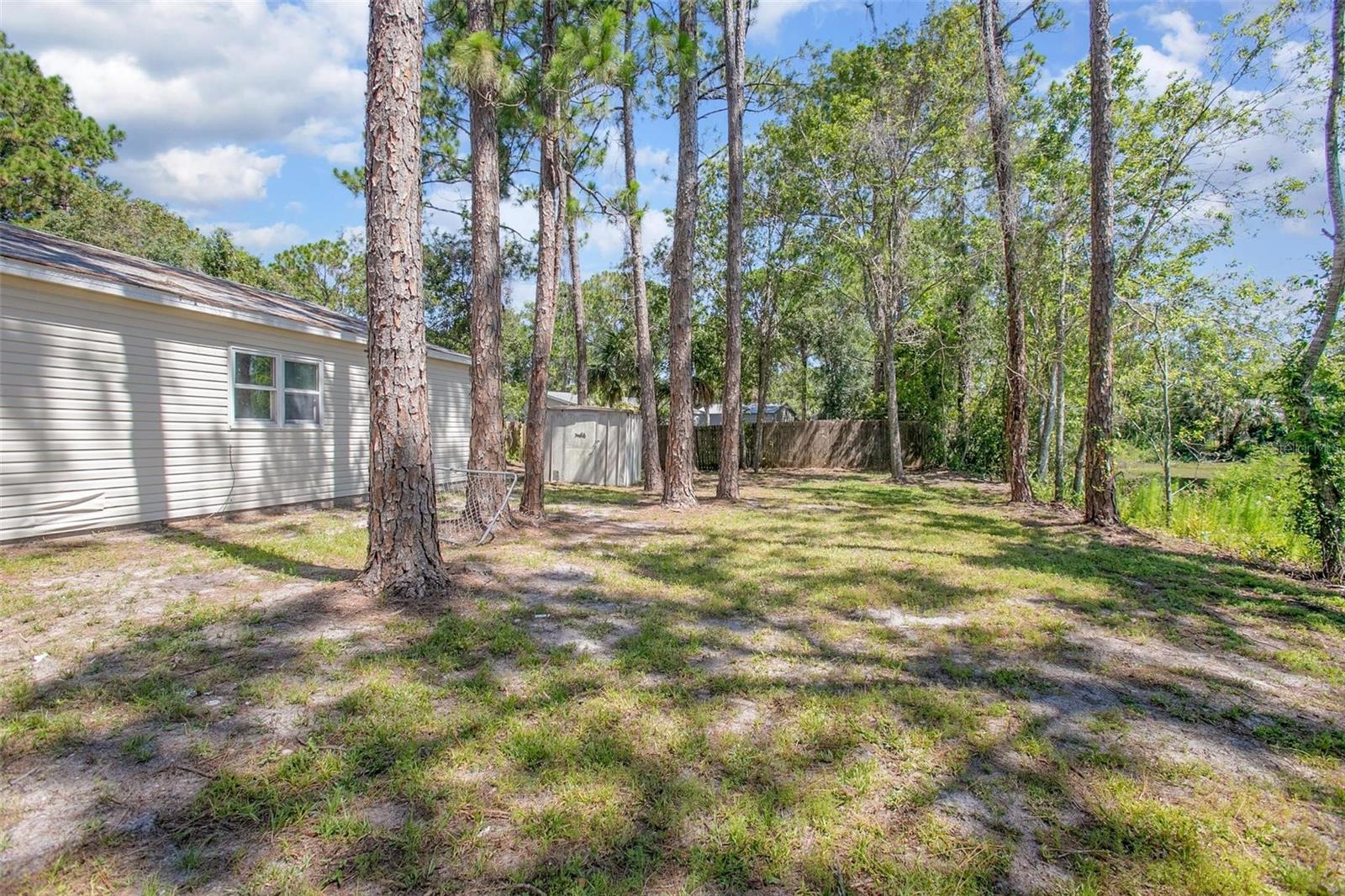 Backyard