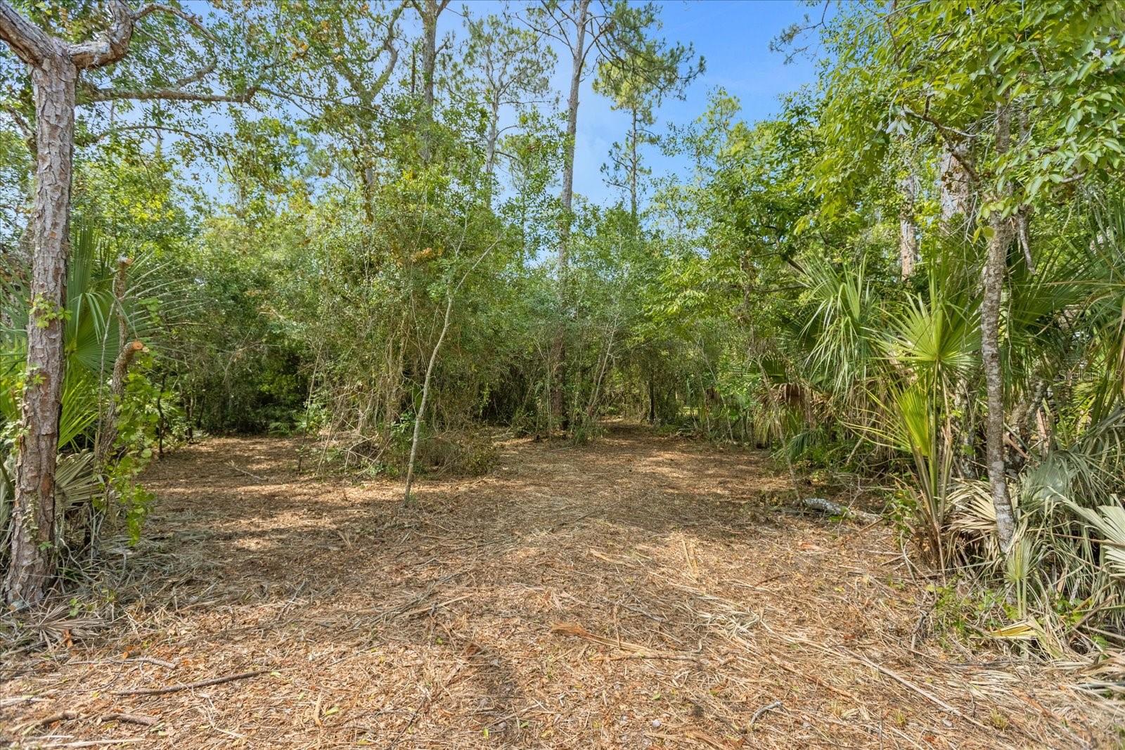 Lake Wales, Florida 33898, 0 , 0 ,0,Land,For Sale,MAR LISA COVE,0,T3452817