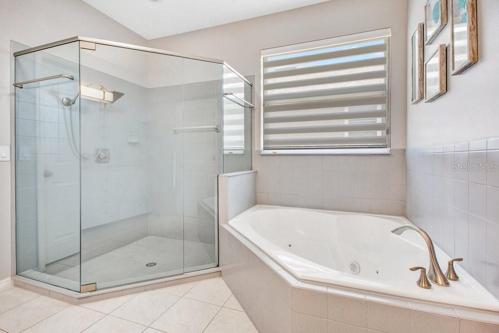 Custom glass shower and separate jetted tub