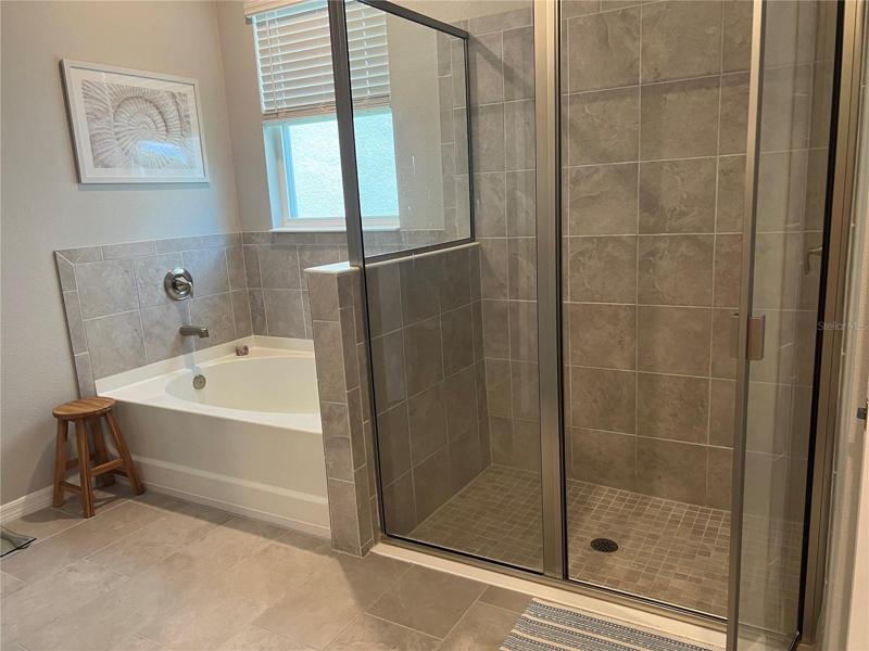 Shower and garden tub