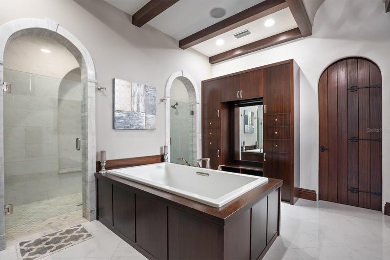 Master Bath Tub and Shower