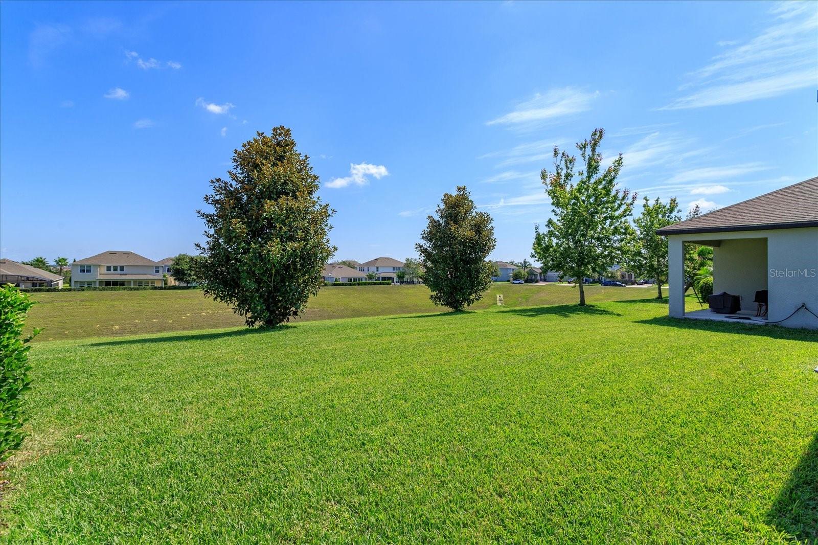 The view from your backyard.