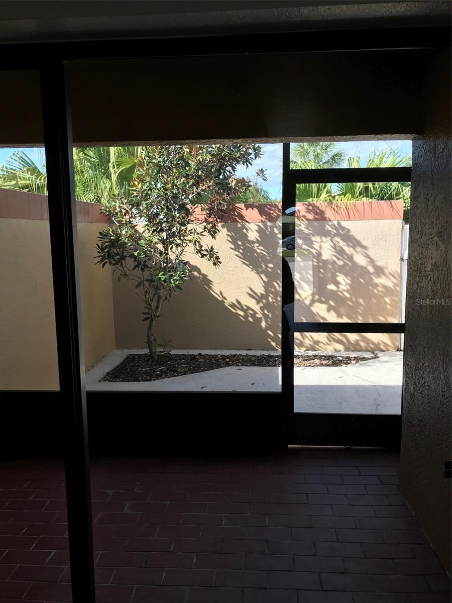 Courtyard from living room