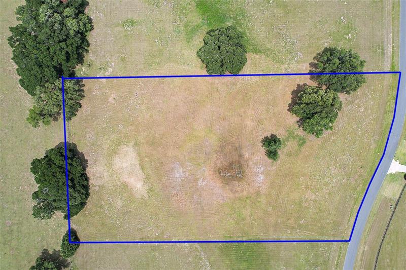 property boundary line