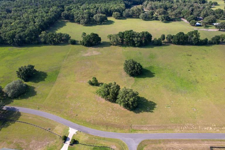 aerial view of the property