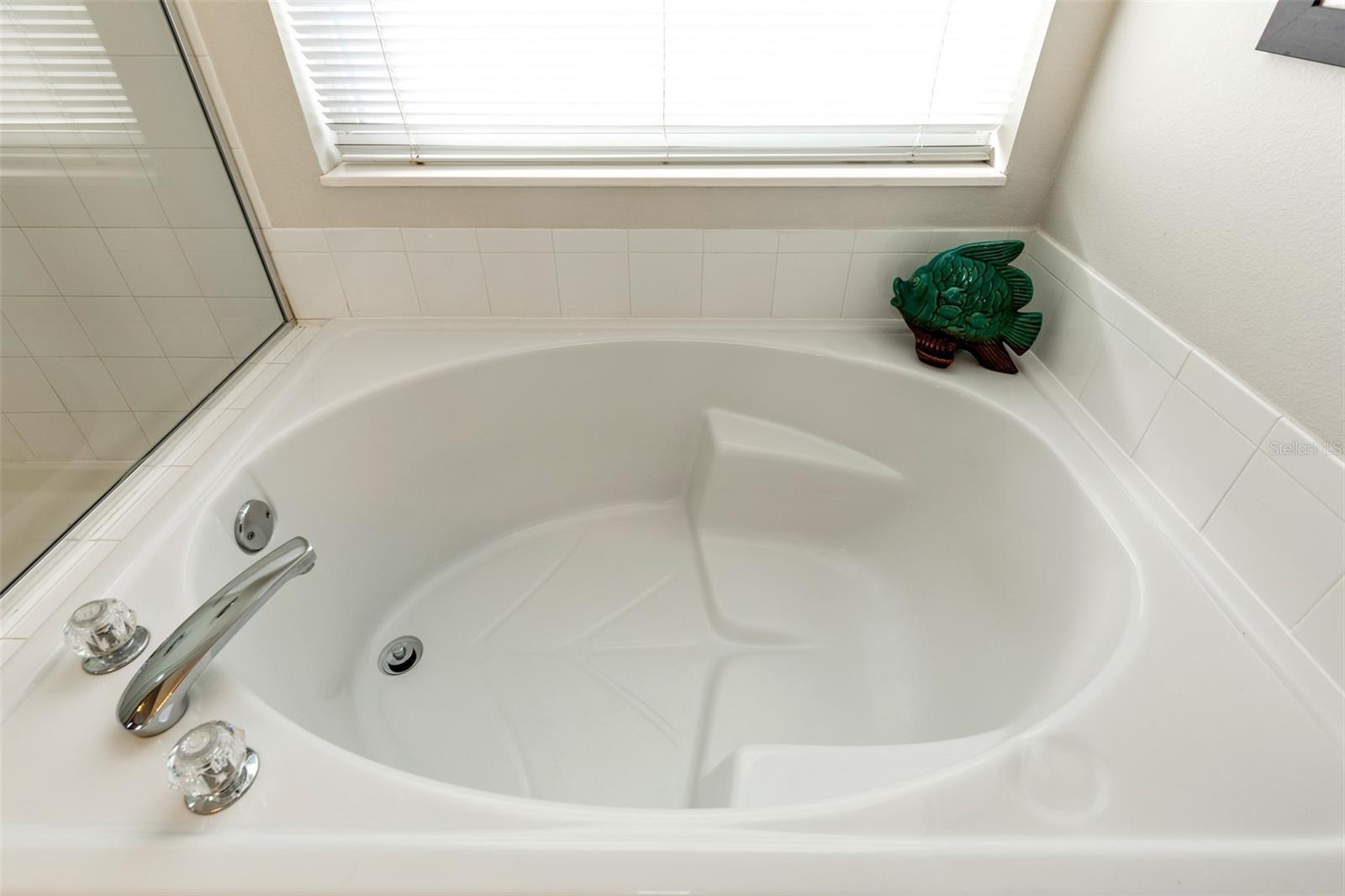 Master bath relaxing garden tub
