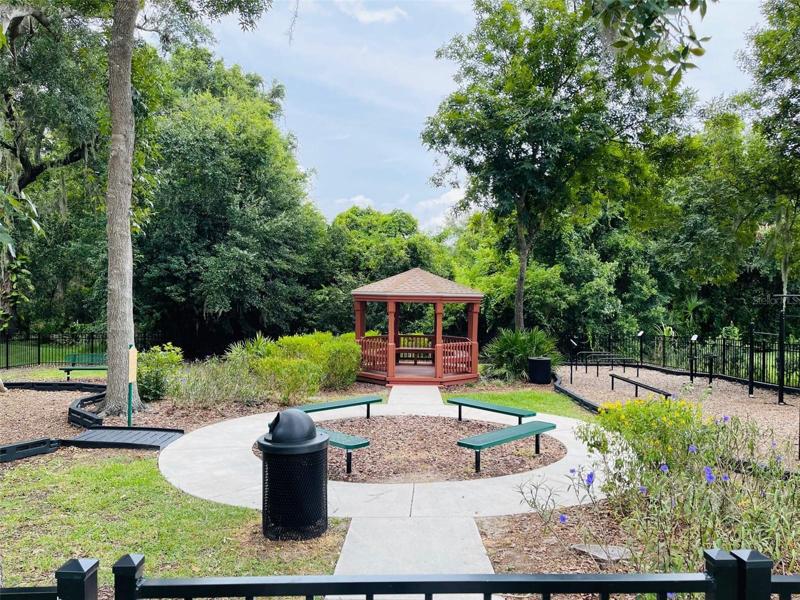 Take a nature walk through the community!