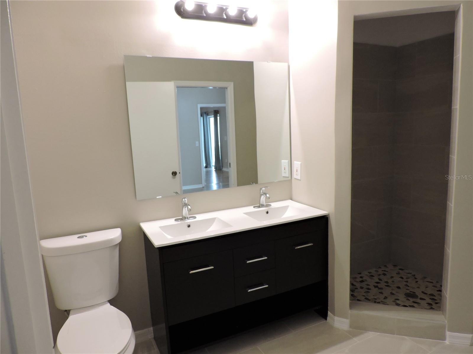 Brand new Jack and Jill Bathroom 3