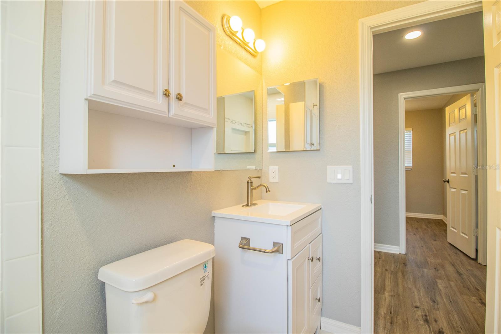 Bath Vanity and cabinet