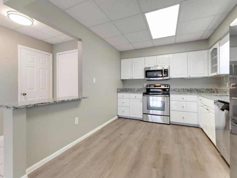 New Vinyl Wood Plank, Granite Countertops with Under-Mounted Stainless Sink