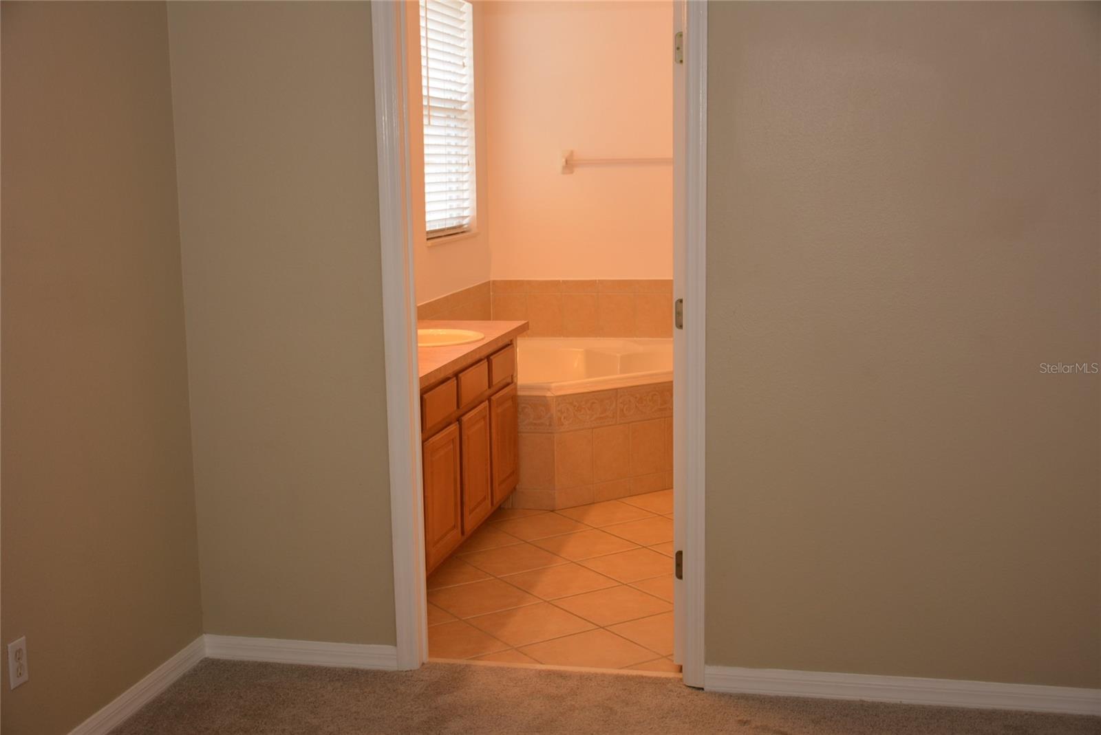 Ensuite main bath