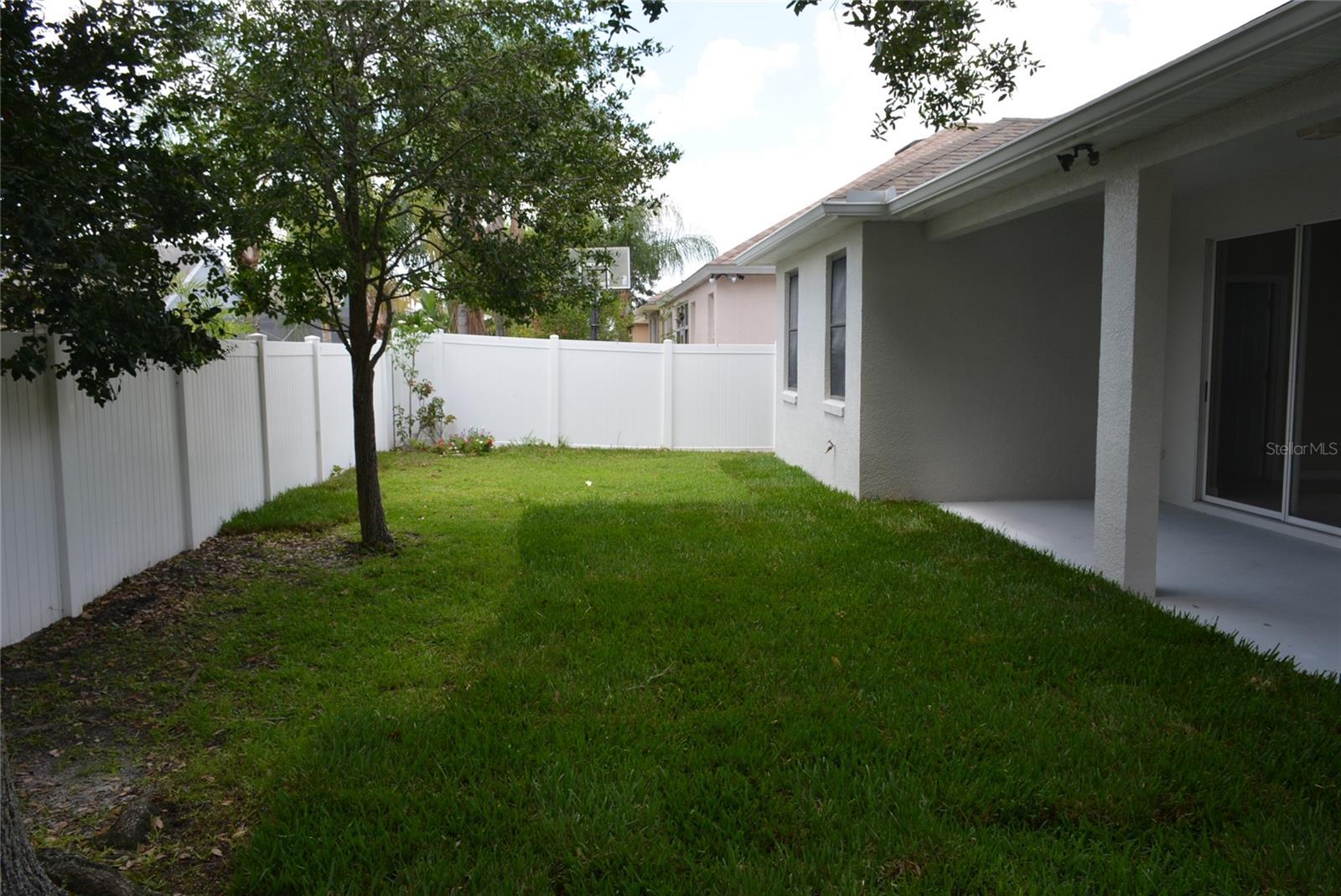 Rear yard with new sod