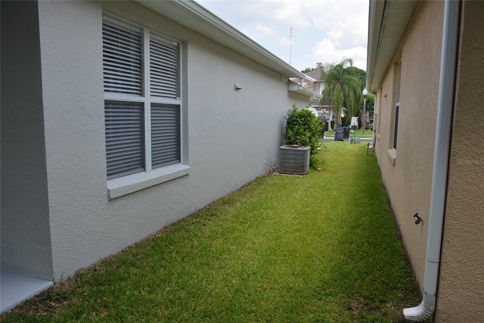 Side yard as seen from the backyard