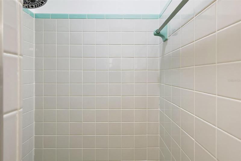 Master Shower