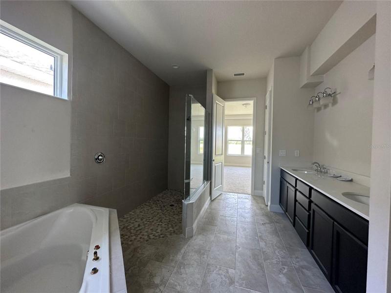 Master Bath - Under Construction