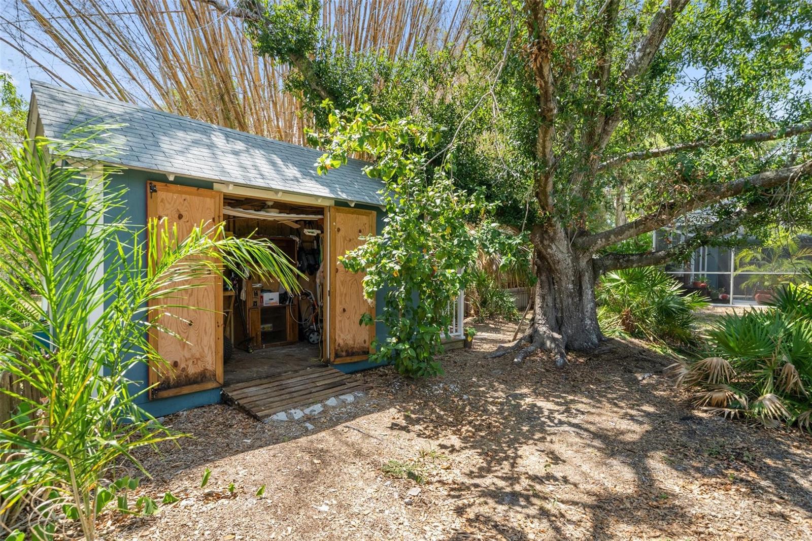 Utility Shed: wired