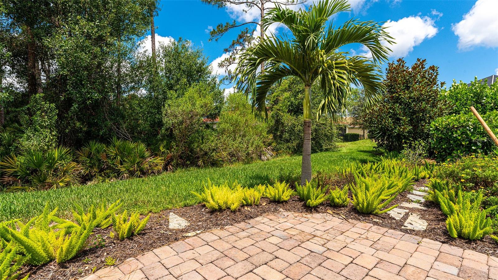 Patio overlooking the preserve