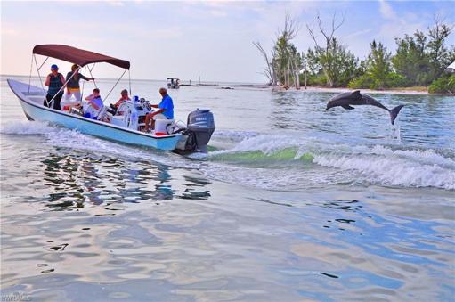 If you ever leave the property, there is so much which makes SW Florida special nearby.