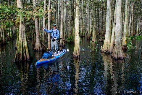 The Everglades National Park is minutes away and yet miles apart from surrounding life.