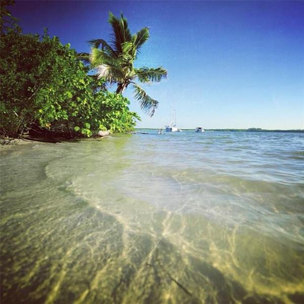 Learn where the quiet beaches and also dog beaches are...