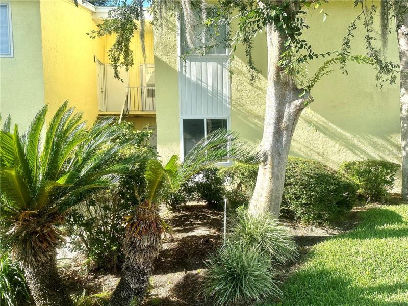Front of condo