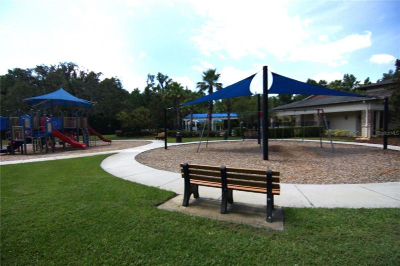 Playground Area
