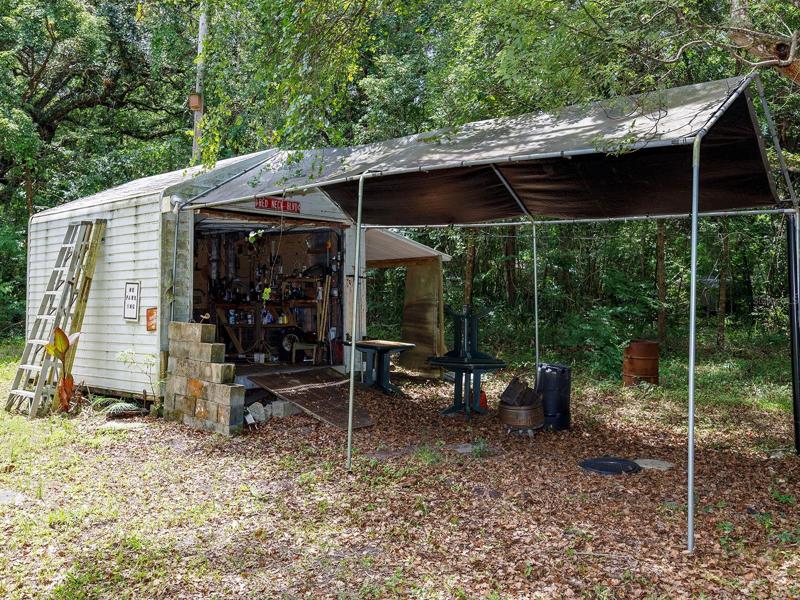Shed with Electricity