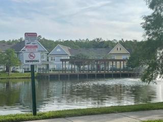 Pond