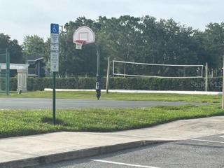 Volley ball and basketball