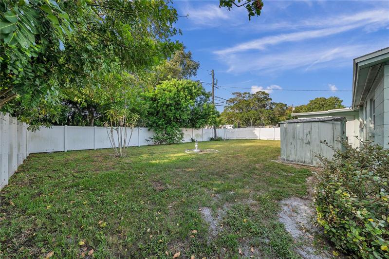 Back Yard