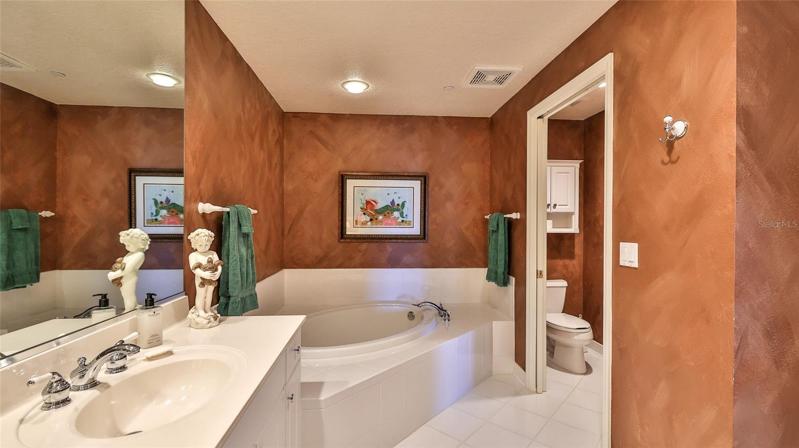 Luxurious master bath with tub & step-in shower.