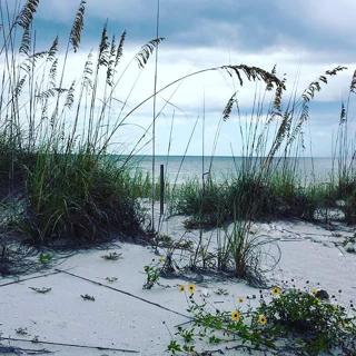 Beach.