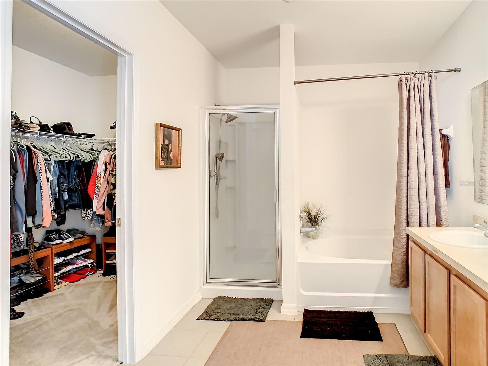 Main Bathroom and Walk In Closet
