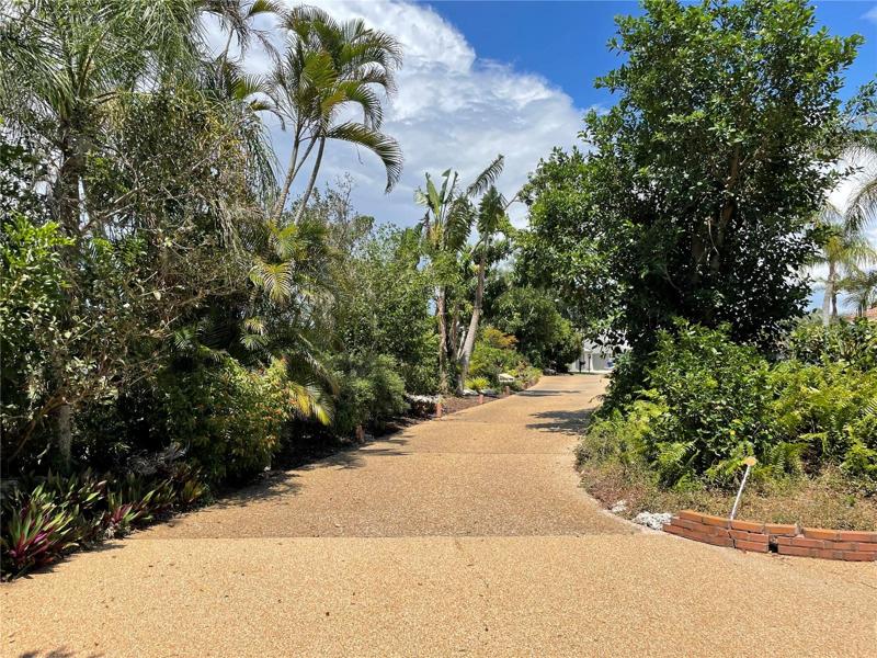 Looking up the long driveway from the house.