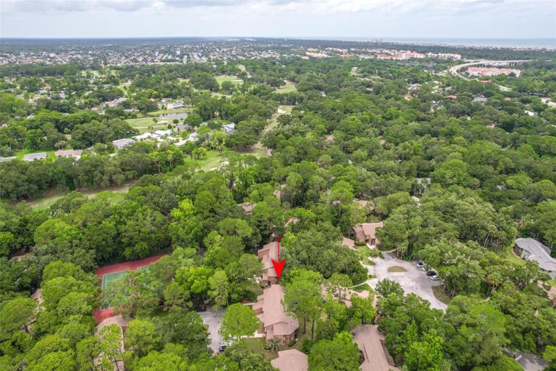 Aerial Shot